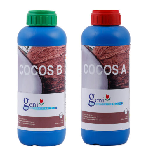 Coco A+B - Afbeelding 2